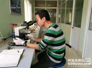 正典球苗技術服務團隊 專業力量走出國門，賦能全球客戶養殖新高度